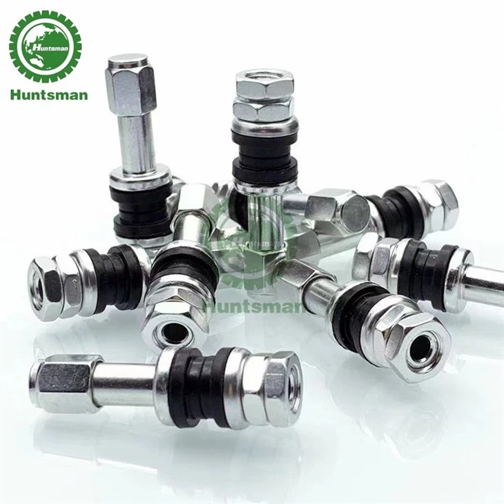 chrome tire valve